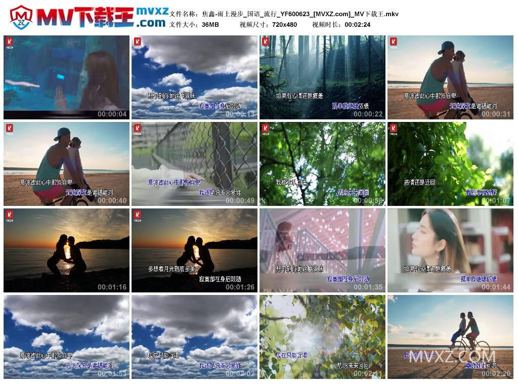 焦鑫-雨上漫步_国语_流行_YF600623